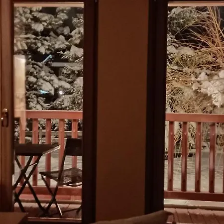 Otel Alpina &