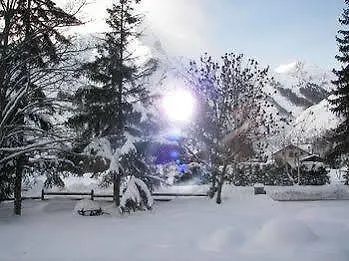 Hotel Alpina &