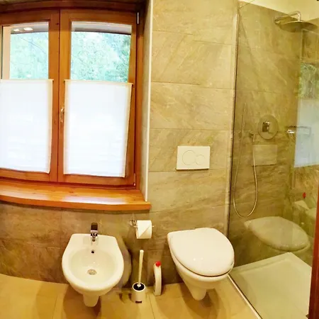 Hotel Alpina & 3*